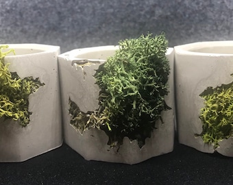 Mini Geometric Planter, Trinket Pot, Concrete Planter, Moss Planter