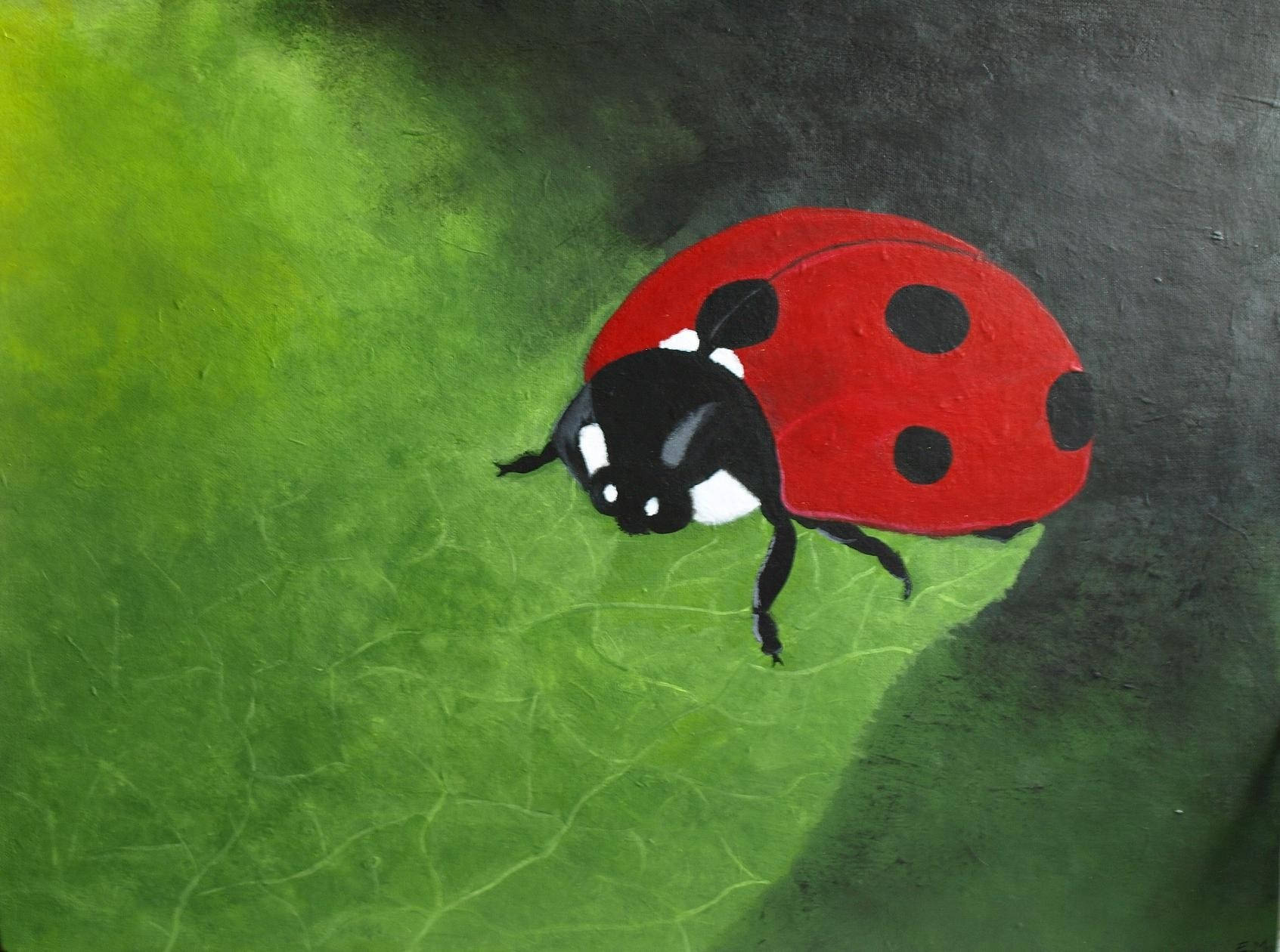 Peinture Acrylique Coccinelle