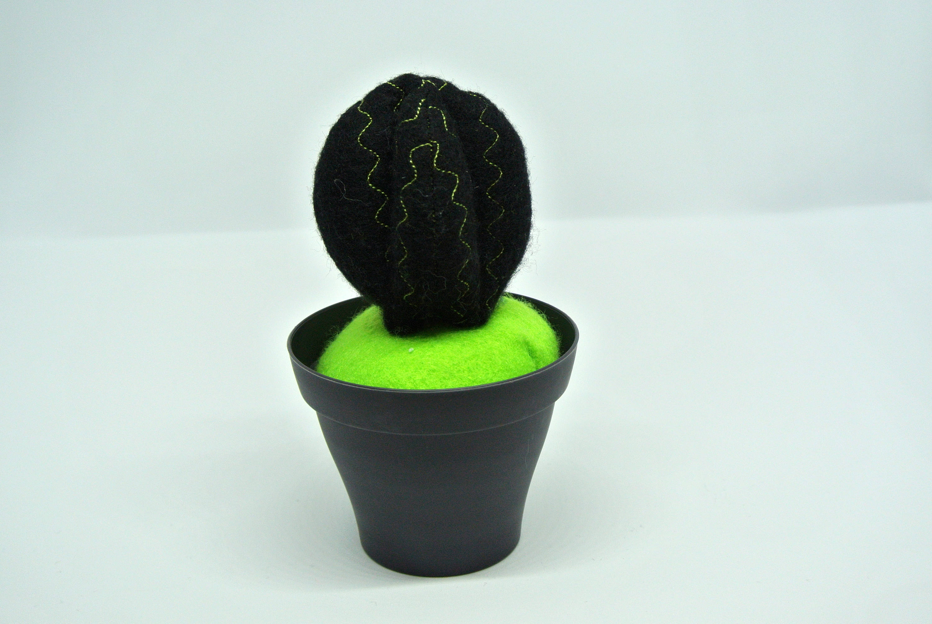 Cactus en Pot Feutrine