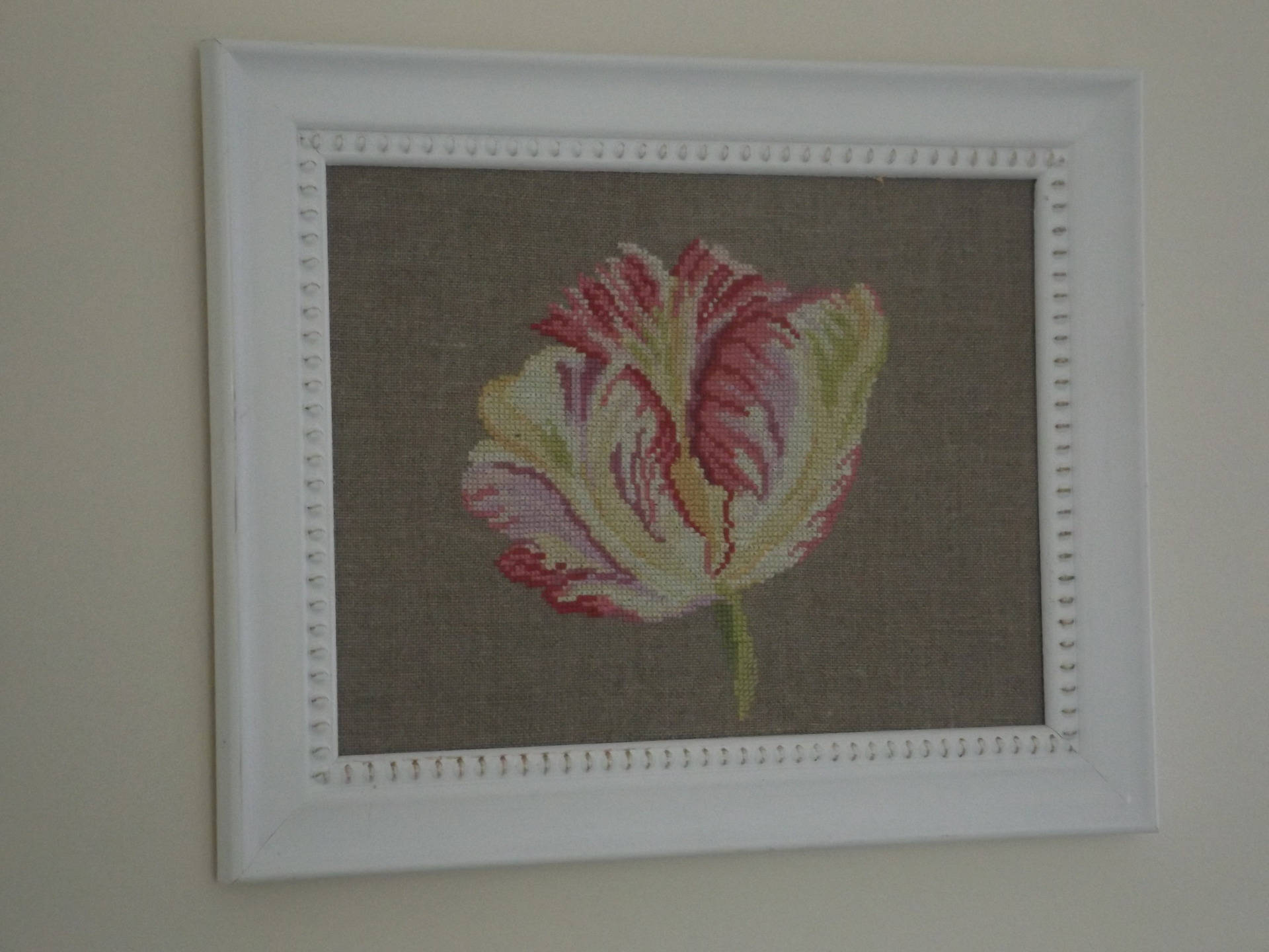 Fleur Tulipa Brodée et Son Encadrement