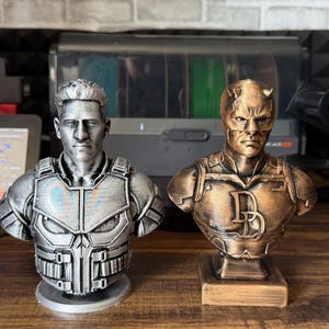May include: Two superhero bust statues. The statue on the left is silver and depicts a character with a stern expression and a detailed chest plate. The statue on the right is bronze and features a character with a mask and the letter "D".