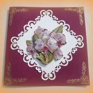59 - Carte de voeux fleurs lavatère mauves