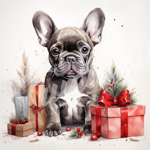 Französische Bulldogge JPG, Weihnachtscliparts - druckbare Clipart, hochwertige JPG-Download, Frenchie mit Weihnachtsgeschenken, Aquarell