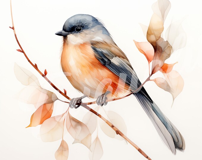 Watercolor Bird JPG, Bird Clipart - Printable Clipart, High Quality JPG Download