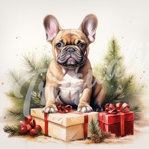 Französische Bulldogge JPG, Weihnachtscliparts - druckbare Clipart, hochwertige JPG-Download, Frenchie mit Weihnachtsgeschenken -
