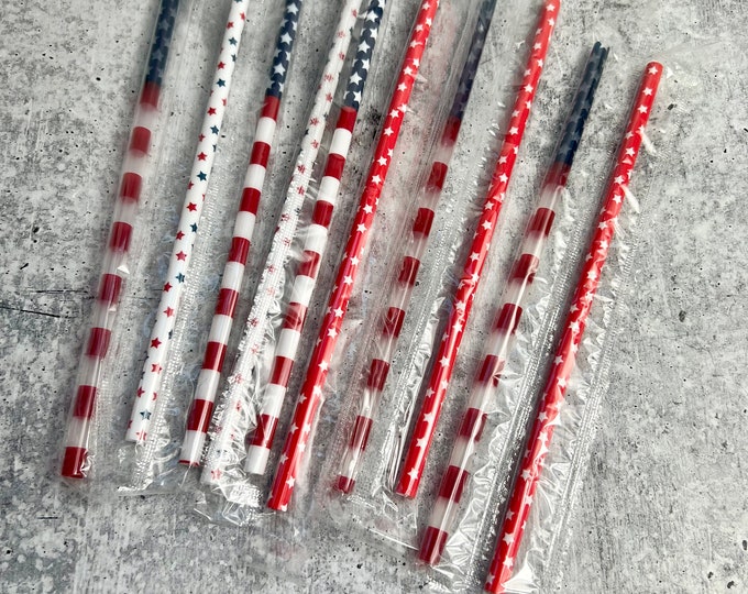 10 Plastic Reusable 4th of JULY Drinking Straws - Party - Entertaining - Independence Day - I5