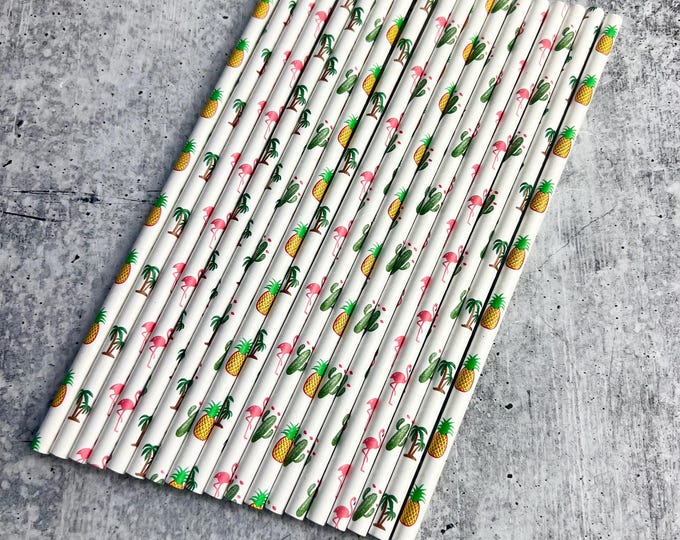 Colorful Paper Straws - Set of 19 - Spring | Tropical | Drinking Straws - 19
