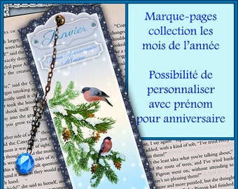 Marque-pages plastifié "Janvier", marque-pages personnalisable, marque-pages anniversaire, petit cadeau, cadeau pas cher, idée cadeau