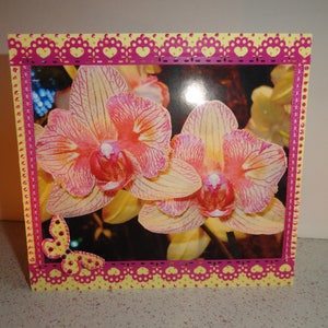 All-occasion kaart getiteld "Mooie gele en roze orchideeën"
