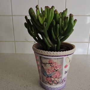 Peut inclure: Une plante succulente verte aux tiges épaisses et charnues pousse dans un pot en céramique blanc avec un motif décoratif représentant des roses roses, des papillons et le mot "Happiness".