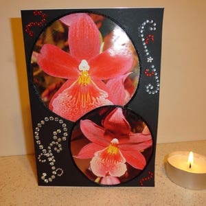 Carte toute occasion intitulée " Belles orchidées rouge "