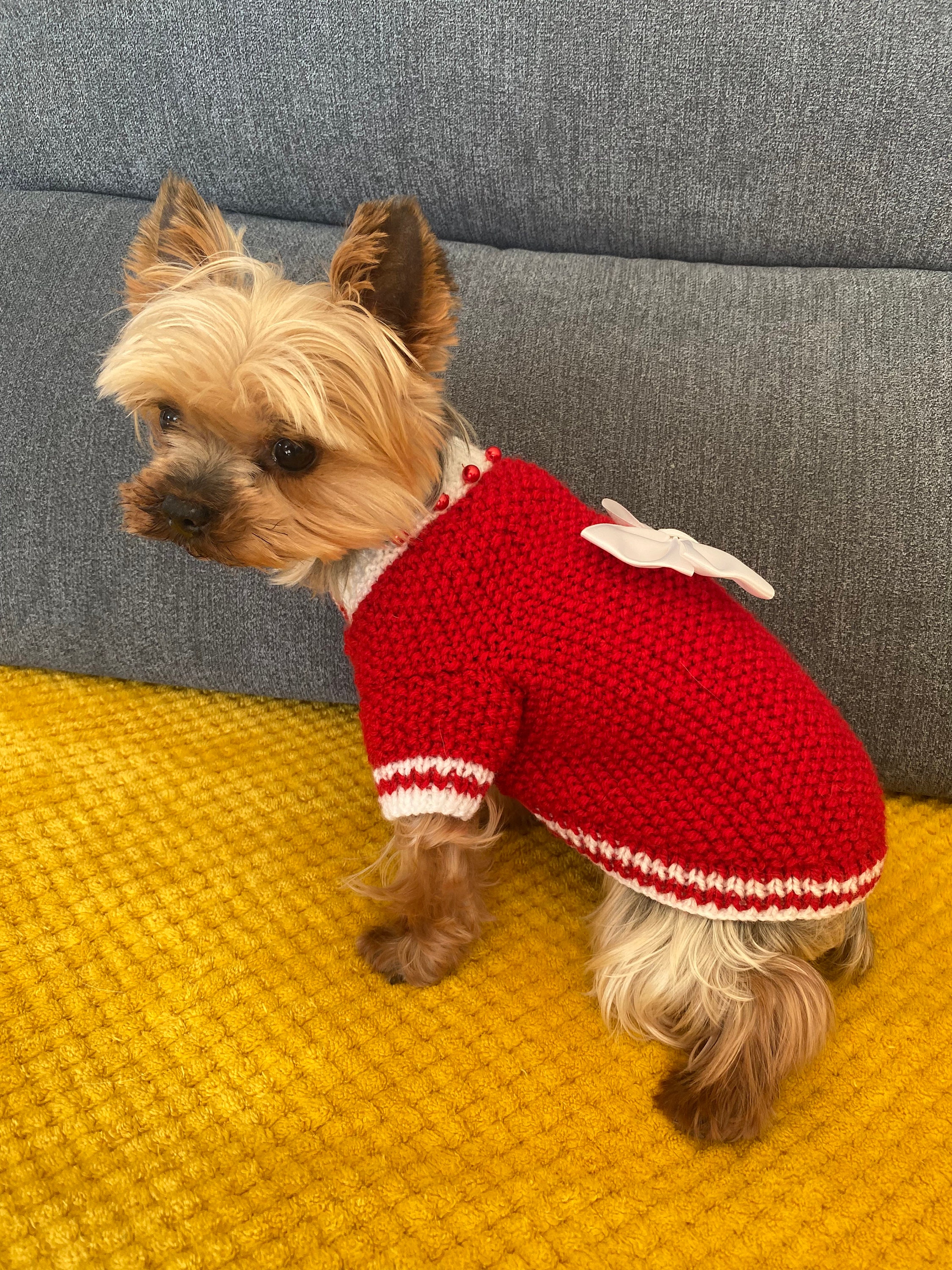 Pull Chic Pour Chien Tricoté Main avec Des Perles et Noeuds
