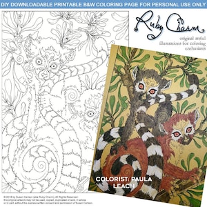 May include: Black and white coloring page featuring two lemurs sitting in a tree. The lemurs have large eyes and intricate patterns on their fur. The text "Ruby Charm" and "original artful illustrations for coloring enthusiasts" is at the top of the page. The text "COLORIST: PAULA LEACH" is at the bottom of the page.