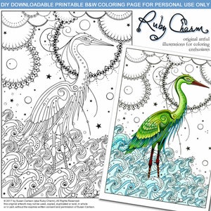 May include: A black and white colouring page featuring a detailed illustration of a heron standing on waves with stars and circles in the background. The text "DIY DOWNLOADABLE PRINTABLE B&W COLOURING PAGE FOR PERSONAL USE ONLY" is at the top of the page. The text "Ruby Charm original artful illustrations for colouring enthusiasts" is on the right side of the page.