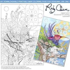 Pode incluir: Uma página para colorir em preto e branco com uma ilustração detalhada de um beija-flor empoleirado em um galho com folhas e bolotas. O beija-flor tem padrões e detalhes intrincados, e o fundo inclui um design geométrico. A imagem é intitulada "Ruby Charm" e inclui o texto "ilustrações originais e artísticas para entusiastas de colorir".
