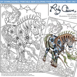 May include: A black and white coloring page featuring a detailed illustration of a horse with floral patterns. The horse is standing on a swirling cloud-like background. The image is titled "Ruby Charm" and includes the text "original artful illustrations for coloring enthusiasts".