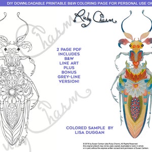 Może przedstawiać: Czarno-biała strona do kolorowania przedstawiająca szczegółowego owada z kwiatowymi wzorami. Obrazek jest oznaczony jako "DIY DOWNLOADABLE PRINTABLE B&W COLORING PAGE FOR PERSONAL USE ONLY" i "Ruby Charm". Tekst "2 PAGE PDF INCLUDES B&W LINE ART PLUS BONUS GREY-LINE VERSION!" jest również zawarty. Obrazek jest przykładem strony do kolorowania z książki "Insectimaginary".