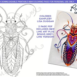 Geco Libro Da Colorare Per Adulti Lucertola Salamandra Etsy