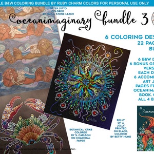 Oceanimaginary BUNDLE 3: 6 ocean theme adult coloring pages, colouring page, fish, jelly fish seadragon, otter, crab, downloadable PDF