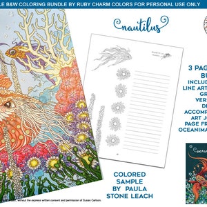 Oceanimaginary Nautilus: downloadable PDF BUNDLE by Ruby Charm Colors, Print & color adult coloring page, ocean, sea life, nature, shell