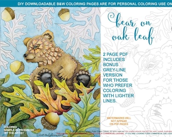 Bear on Oak Leaf: downloadable 2-page PDF, coloring page, print, color, adult colouring, animal, bears, mammal, acorn, autumn, leaves, fall
