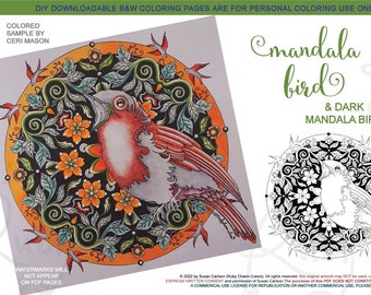 Mandala Bird: downloadable 4-page PDF, coloring page, print, color, adult colouring, birdy, flowers, night, dark background