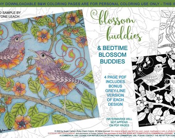 Blossom Buddies: downloadable 4-page PDF, coloring page, print, color, adult colouring, bird, birdy, flowers, black background, night