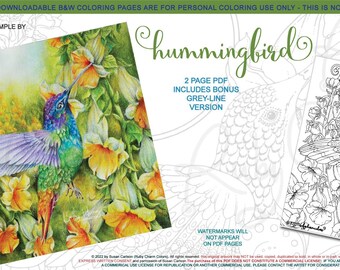 Hummingbird: downloadable 2-page PDF, coloring page, print, color, adult colouring, bird, birdy, flowers, trumpet flowers