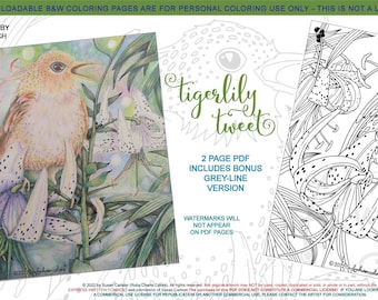Tigerlily Tweet: downloadable 2-page PDF, coloring page, print, color, adult colouring, bird, birdy, flowers, birds