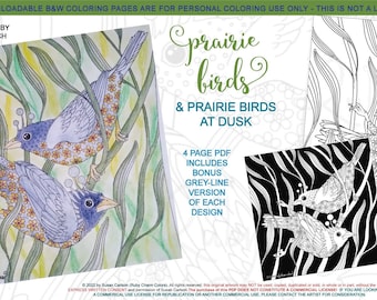 Prairie Birds: downloadable 4-page PDF coloring set, print, color, adult colouring, bird, birdy, flowers, black background, night, two birds