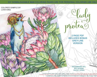 Lady Protea: downloadable 2-page PDF, coloring page, print, color, adult colouring, bird, birdy, flowers, protea flower, bird wearing hat