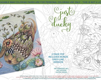 Just Ducky: downloadable 2-page PDF, coloring page, print, color, adult colouring, bird, birdy, flowers, duck, water, waterlillies, pond