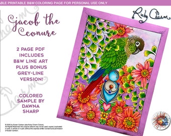 Jacob the Conure: Printable, downloadable PDF by Ruby Charm Colors to print and color, adult coloring page, parrot, bird, flowers