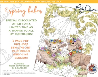 Spring Babes: downloadable printable PDF for coloring pages, Lamb, sheep, springtime, lambs, babies, flowers, baby animals, farm animal