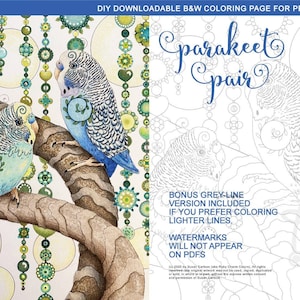 Parakeet Pair Coloring Page: downloadable RubyCharmColors PDF, adult colouring, parakeets, budgie, budgies, birds, baubles, download, print