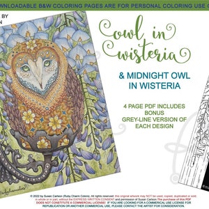 May include: A digital coloring page featuring a detailed illustration of an owl perched on a branch with wisteria flowers. The owl has large, expressive eyes and intricate patterns on its feathers. The text "Cowl in wisteria & Midnight Owl in Wisteria" is displayed above the image. The text "4 page PDF includes bonus grey-line version of each design" is also included.