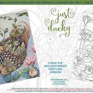 Puede incluir: Una página para colorear imprimible que presenta una ilustración detallada de un pato nadando en un estanque con nenúfares. El título "just ducky" está escrito en letras cursivas verdes. La página para colorear forma parte de un PDF de 2 páginas que incluye una versión de línea gris adicional.