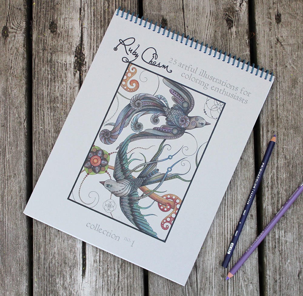 Download The Original Coloring Book Handmade Spiral Bound Artist Ed Etsy