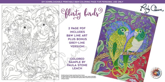 Ruby Charm Colors 28 Artful Illustrations for Coloring Enthusiasts