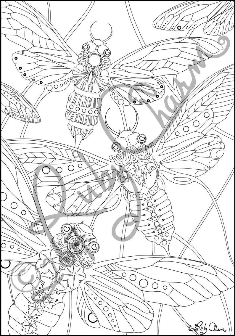 CICADAS Downloadable Printable Adult Coloring Page, Ruby Charm Artful ...