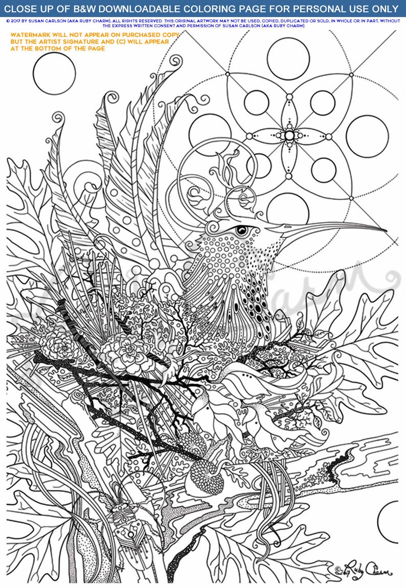 Download NESTING BIRD downloadable printable PDF Adult Coloring ...