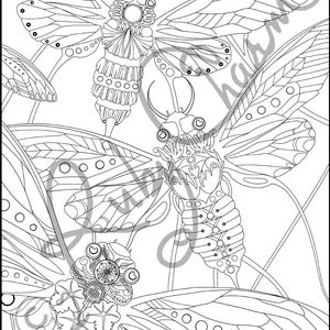 INSECTS BUNDLE: download, print, and color cicadas, beetles and a highly detailed luna moth, adult coloring, colouring page image 3