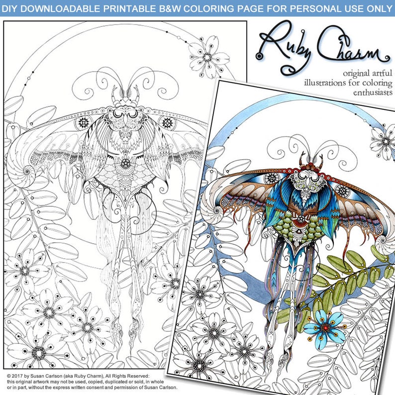 PDF LUNA MOTH downloadable printable Adult Coloring page Ruby | Etsy