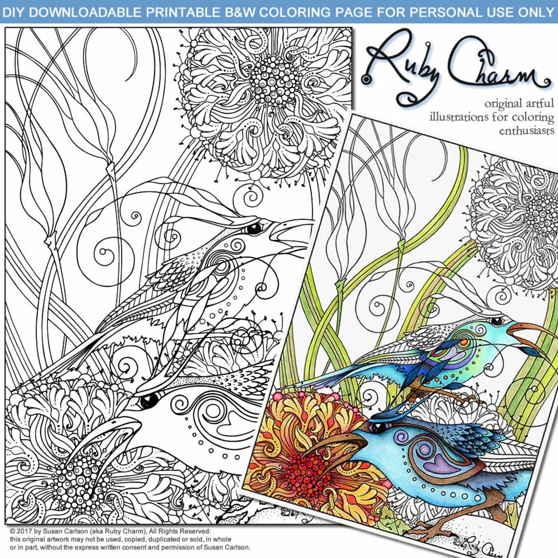 SUN BIRDS Downloadable Printable Adult Coloring Page, PDF, Ruby Charm ...