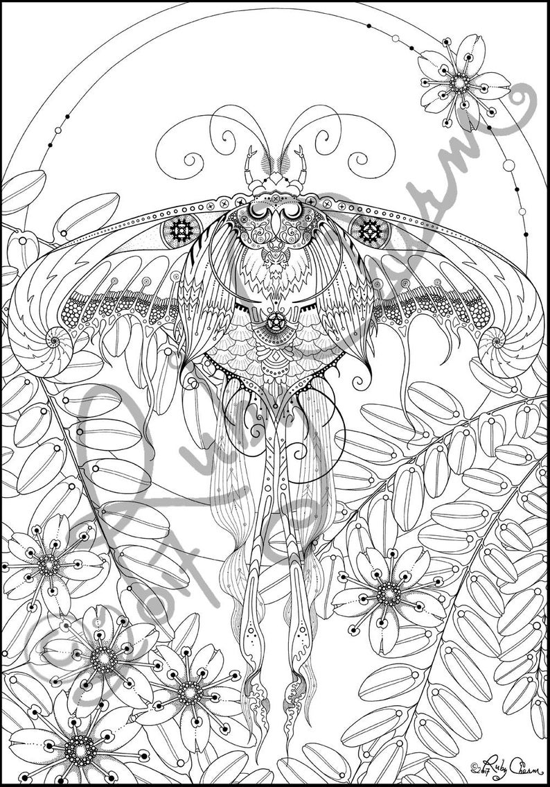 PDF LUNA MOTH Downloadable Printable Adult Coloring Page Ruby | Etsy UK