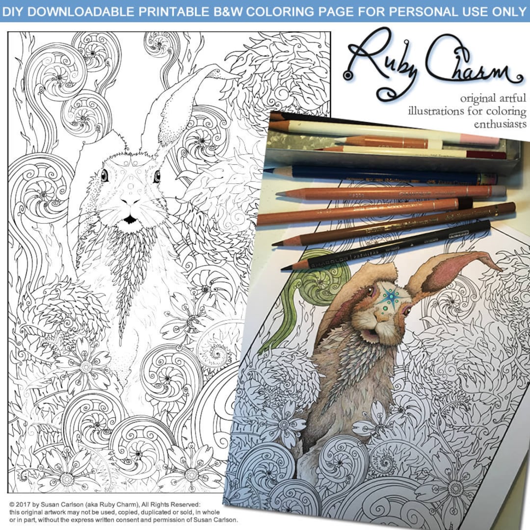 Spiral Bound 8.5 x 11 Sketch book: Inspire your art enthusiasm