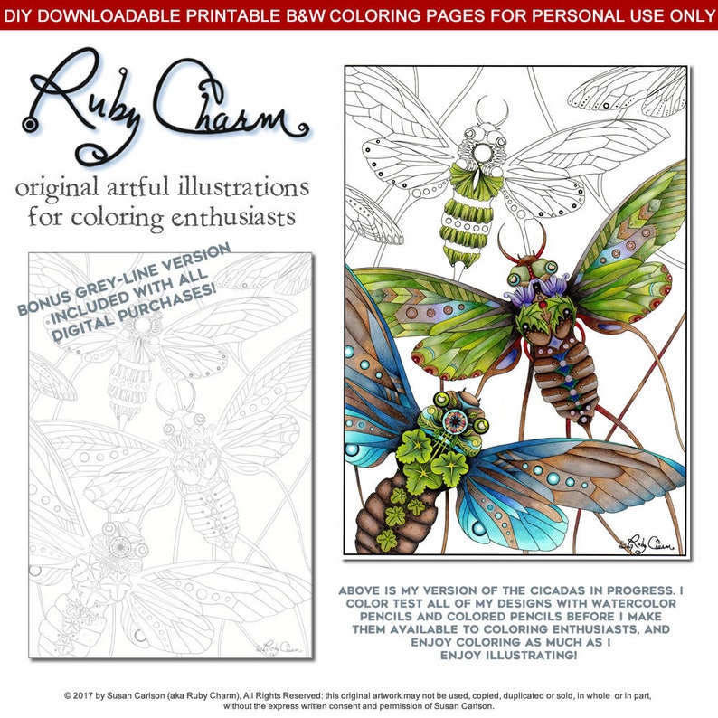 INSECTS BUNDLE: download, print, and color cicadas, beetles and a highly detailed luna moth, adult coloring, colouring page image 2