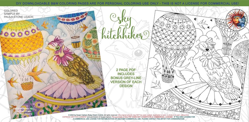 Sky Hitchhiker: downloadable 2-page PDF, coloring page, print, color, adult colouring, bird, birdy, flowers, hot air balloon image 1