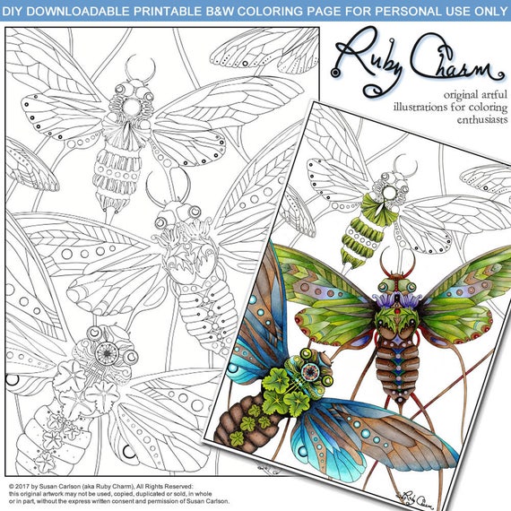 parts of an insect coloring page