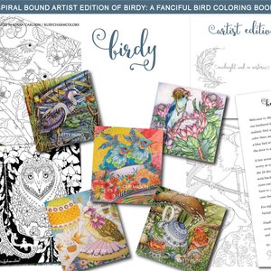 Birdy: A Fanciful Bird Coloring book, spiral-bound, limited Artist Edition Now in Stock image 2